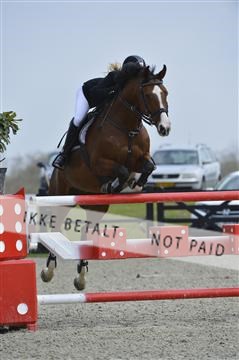139644_abo_01__AB14014.JPG