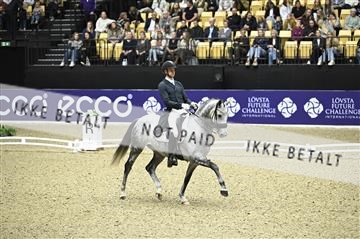 182194_kbb_02_Z099085.JPG