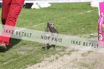134871_ms_04_IMG_1347.JPG