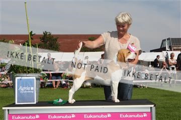 130370_se_02_IMG_6447.JPG