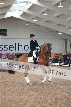 179022_kbb_01_R6II2396.JPG