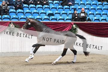 164516_kuo_01_D05_1323.JPG