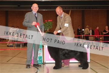 124188 _tl_02_IMG_9700.JPG