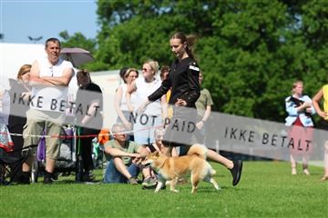 181564_rin_02_R62_3721.JPG