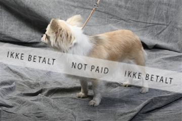 129608_le_ 01_0580.JPG