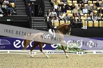 182194_kbb_03_Z092027.JPG