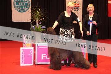126827_tl_04_IMG_0121.JPG