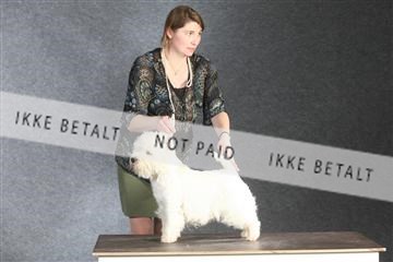 132082_le_ 01_IMG_1493.JPG