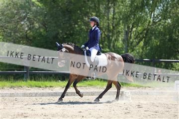 168732_mtp_01_3M5A7555.JPG