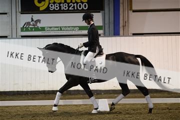 141472_abo_01__AB15039.JPG