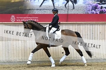 182241_kbb_01_Z093241.JPG