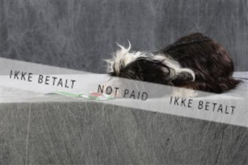 128239_le_kort_ 01_0086.JPG