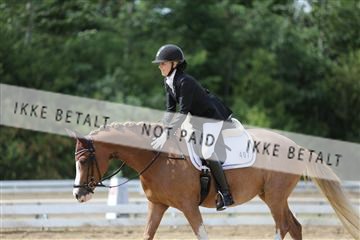 156196_nn_01_IMG_6263.JPG
