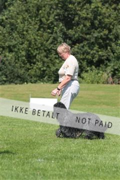 130370_tl_02_IMG_7821.JPG