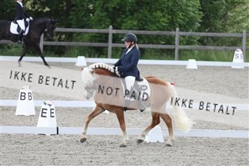 172030_mtp_01_3M5A1796.JPG