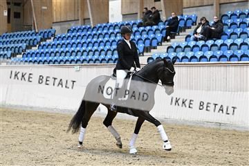 182241_kbb_01_Z093379.JPG