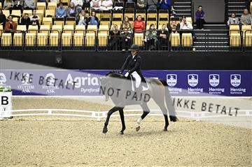 182194_kbb_02_Z098828.JPG