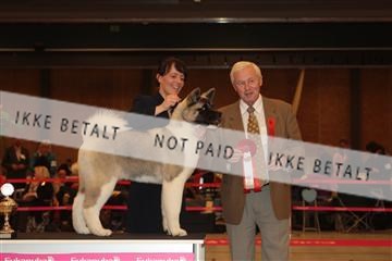 124188 _tl_02_IMG_9228.JPG