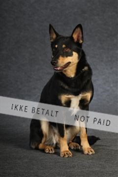 132082_le_ 01_IMG_0731.JPG