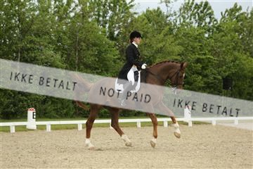139835_sg_01_IMG_7348.JPG