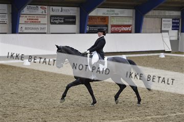 140040_abo_02__AB19490.JPG