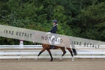 156196_nn_01_IMG_5792.JPG