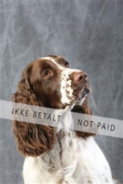 129608_le_ 01_0540.JPG