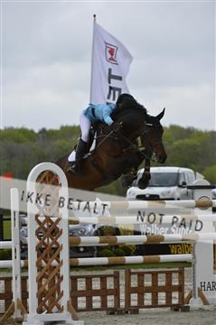 139644_abo_11__AB11517.JPG