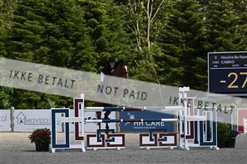 AKL_5837.JPG