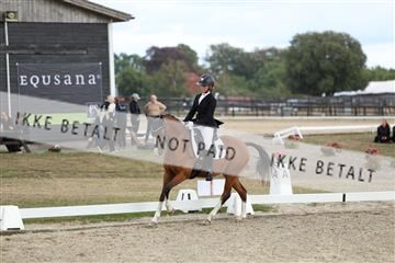 181894_mtp_03_R62_2879.JPG