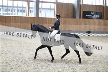 182176_kbb_01_Z093478.JPG
