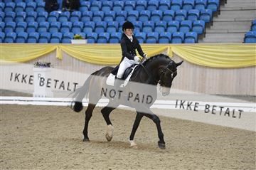 139403_ms_01__MS18276.JPG
