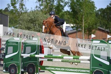 169152_abo_01_D05_0588.JPG
