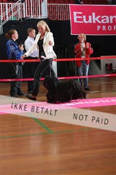 6068_ma_05_IMG_6079.JPG