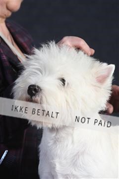 132082_le_ 01_IMG_1399.JPG