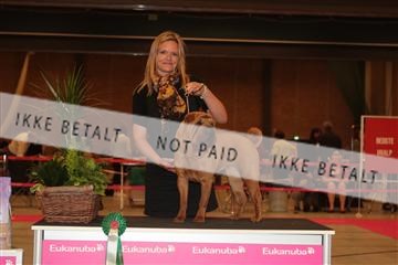 124188 _tl_02_IMG_9560.JPG