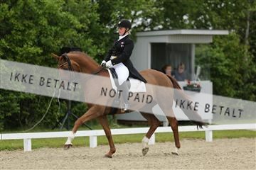 139835_sg_01_IMG_8057.JPG