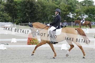 166078_rhj_01__J7R2211.JPG