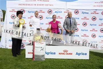 181564_kar_01__62_7449.JPG