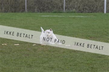 124188 _tl_02_IMG_9438.JPG