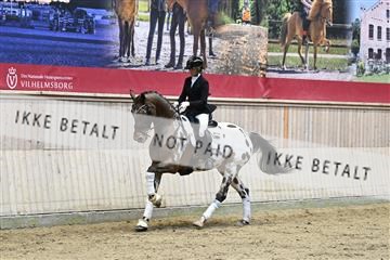 182241_kbb_01_Z093215.JPG