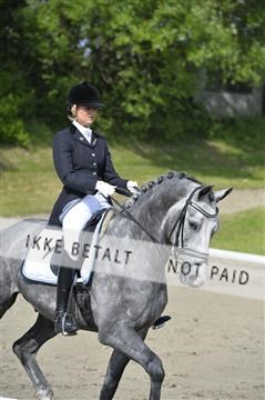 140040_abo_01__AB17300.JPG