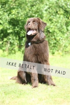 130370_se_03_IMG_7070.JPG