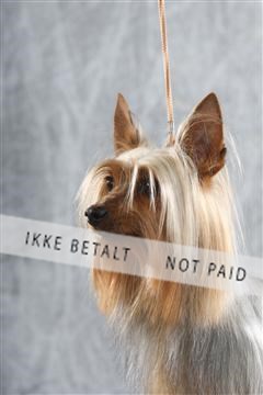 129608_le_ 02_0144.JPG