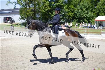 181449_kbb_01_6II9371.JPG