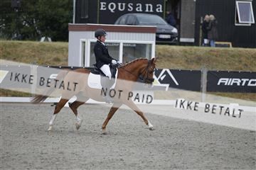 166078_rhj_01__J7R4394.JPG