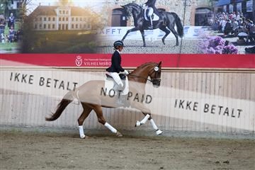 181887_mtp_02_R62_7462.JPG