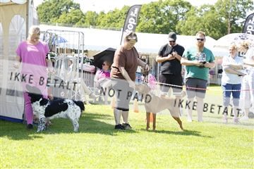 181564_kar_01__62_7987.JPG