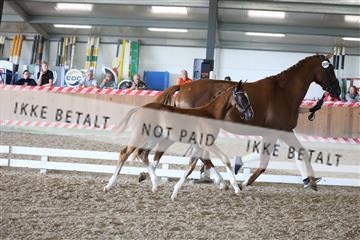 181756_mtp_03_R62_2461.JPG