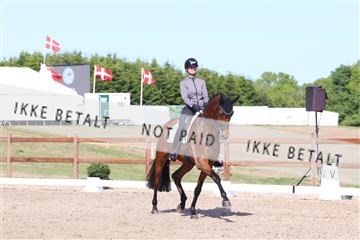 181449_bc_01R62_6086.JPG